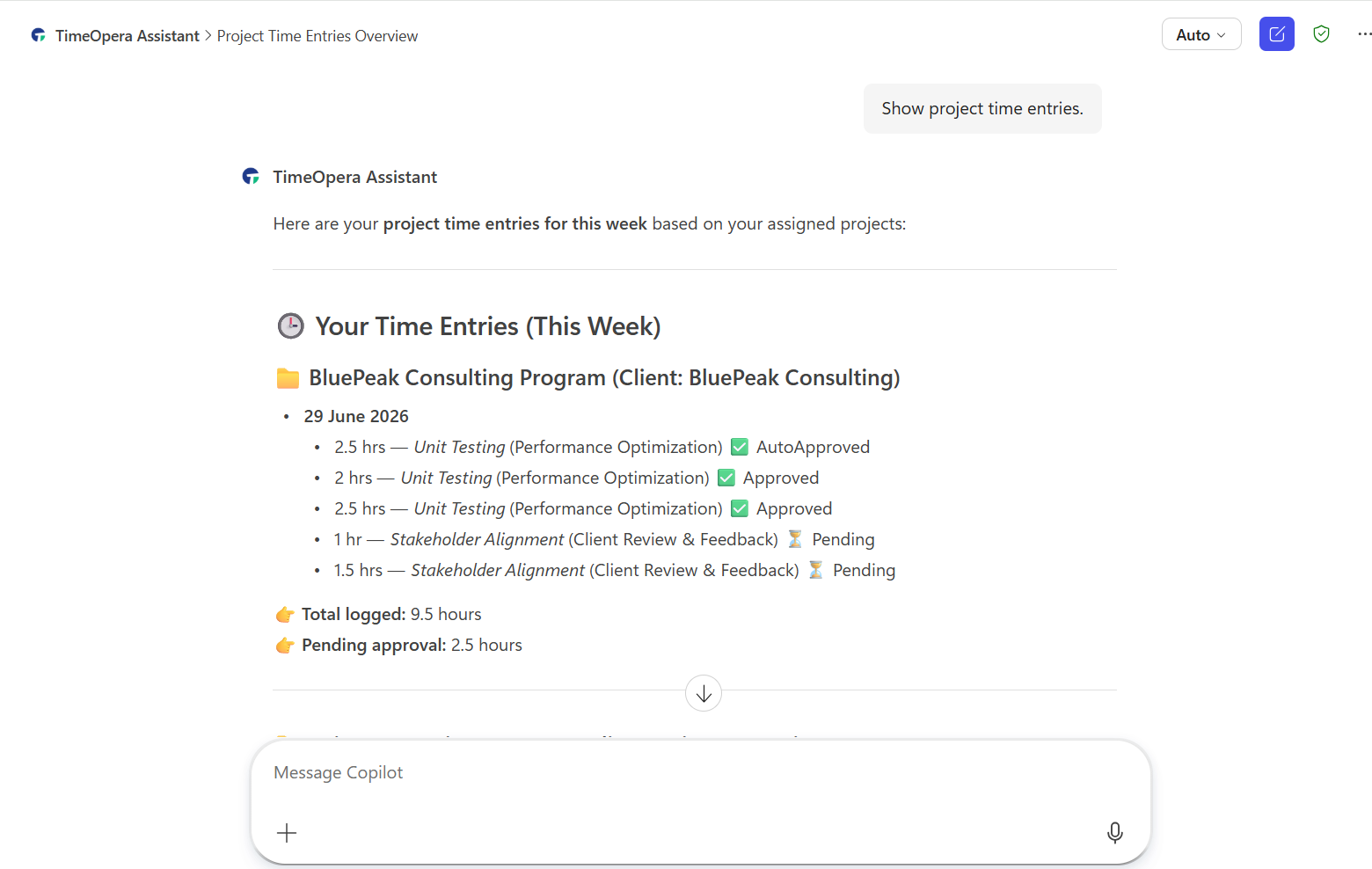 TimeOpera Assistant Query Result Screen